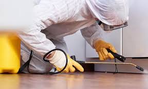 Best Residential Pest Control  in Blplay, AL